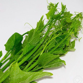 Củ(quả) susu giống đã ra rễ đẹp