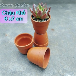 🌻chậu đất nung khế mini trồng sen đá