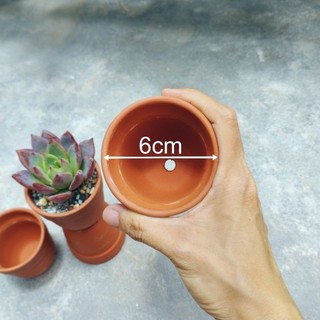 [Bao Bể Vỡ]🌻Chậu Đất Nung Khế Mini Trồng Sen Đá