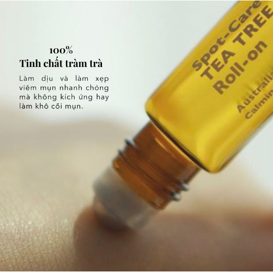 Thanh lăn tràm trà Lazy Society Spotcare Tea-tree 100 roll-on 5.5ml phục hồi làn da cho nam giới, nhập khẩu hàn quốc