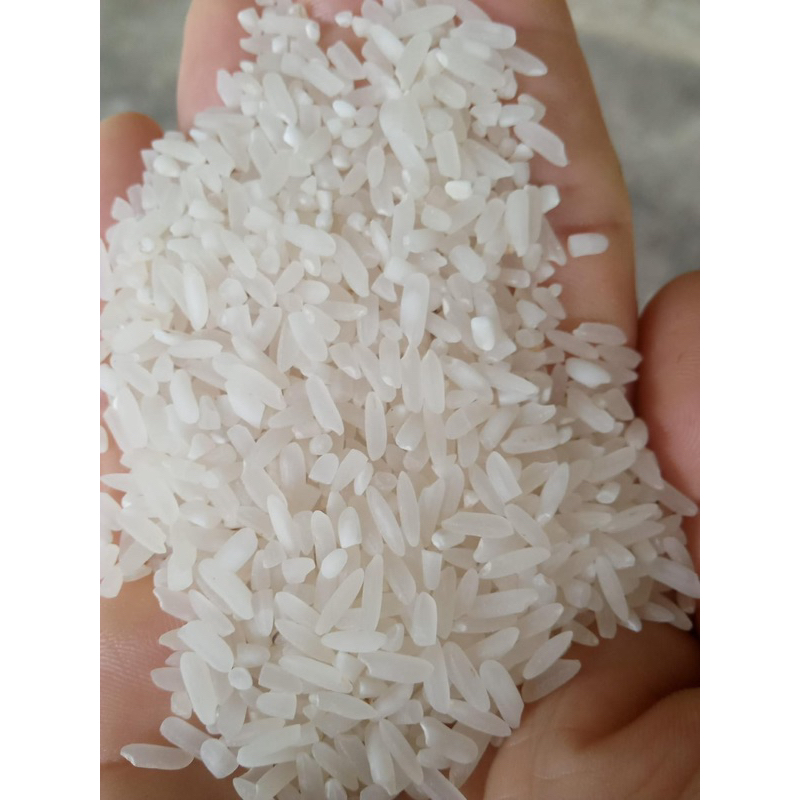 Gạo sén cù Nghĩa Lộ  loại 1 dẻo thơm Không pha trộn hút túi 1kg .