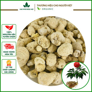 1kg Tam Thất Nam (Củ To, Khô, Sạch)