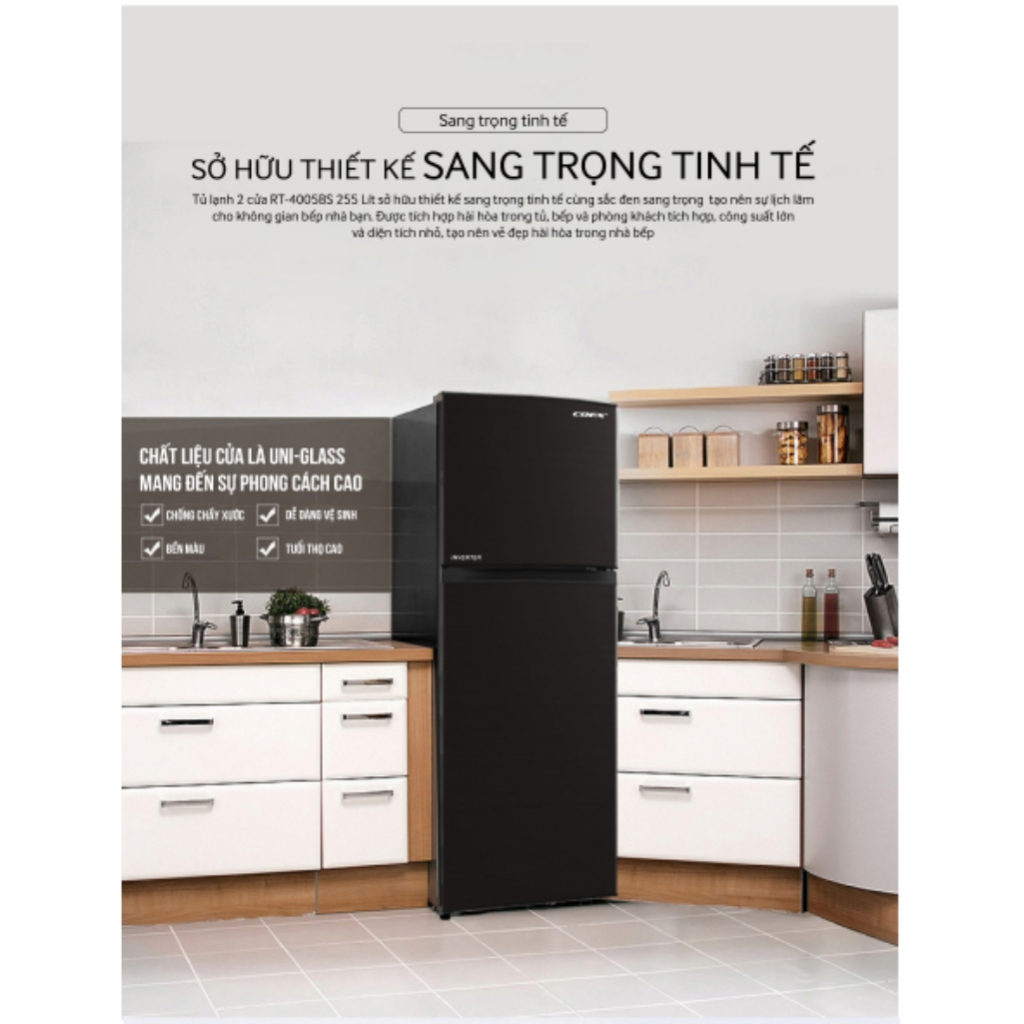 Tủ lạnh 2 cửa Inverter Coex RT-4005BS 255 Lít