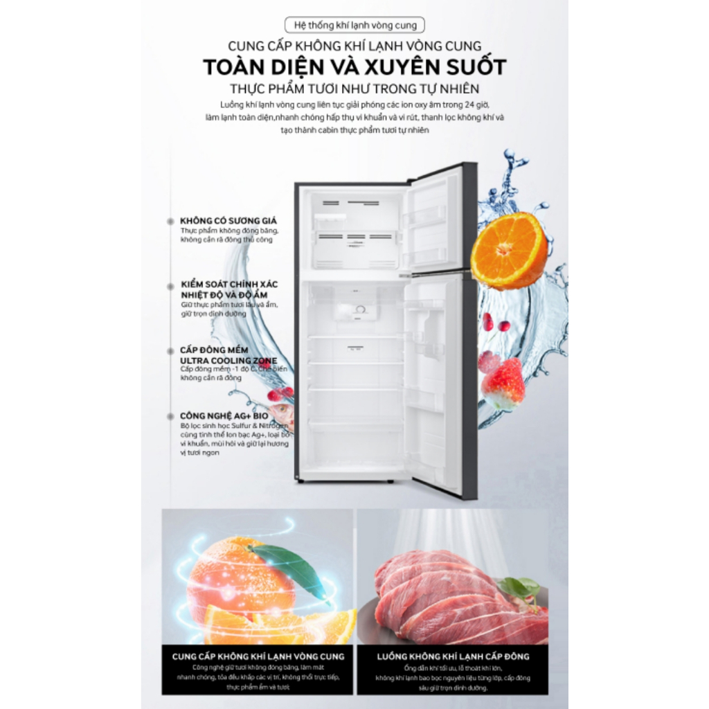 Tủ lạnh 2 cửa Inverter Coex RT-4005BS 255 Lít