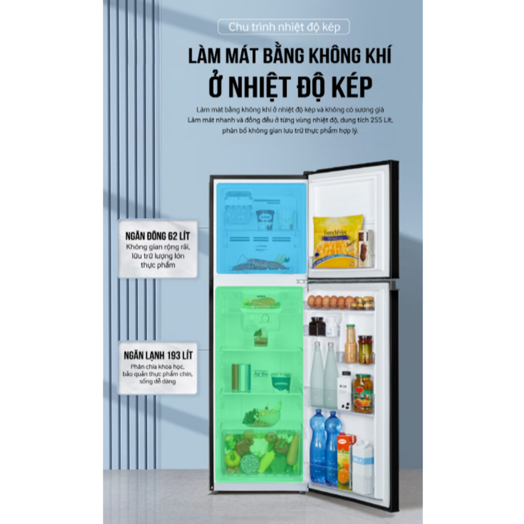 Tủ lạnh 2 cửa Inverter Coex RT-4005BS 255 Lít