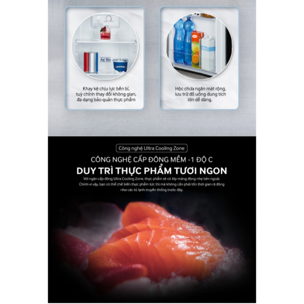 Tủ lạnh 2 cửa Inverter Coex RT-4005BS 255 Lít