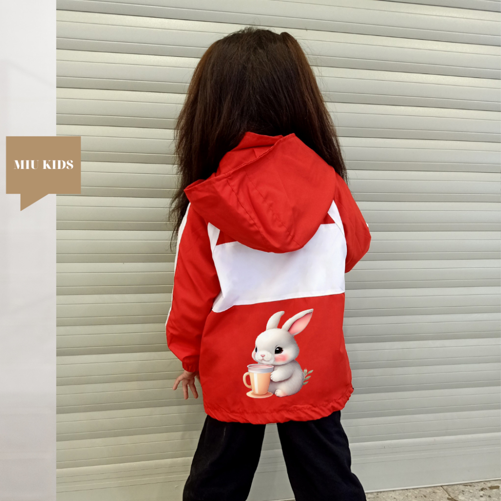 Áo Khoác bé trai và bé gái dù 2 lớp từ 14kg đến 40kg in hình dễ thương Z41