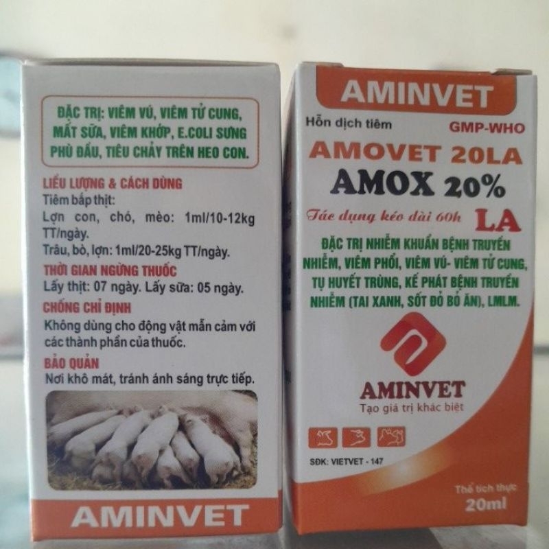 Amox 20% LA 20ml viêm vú, viêm tử cung