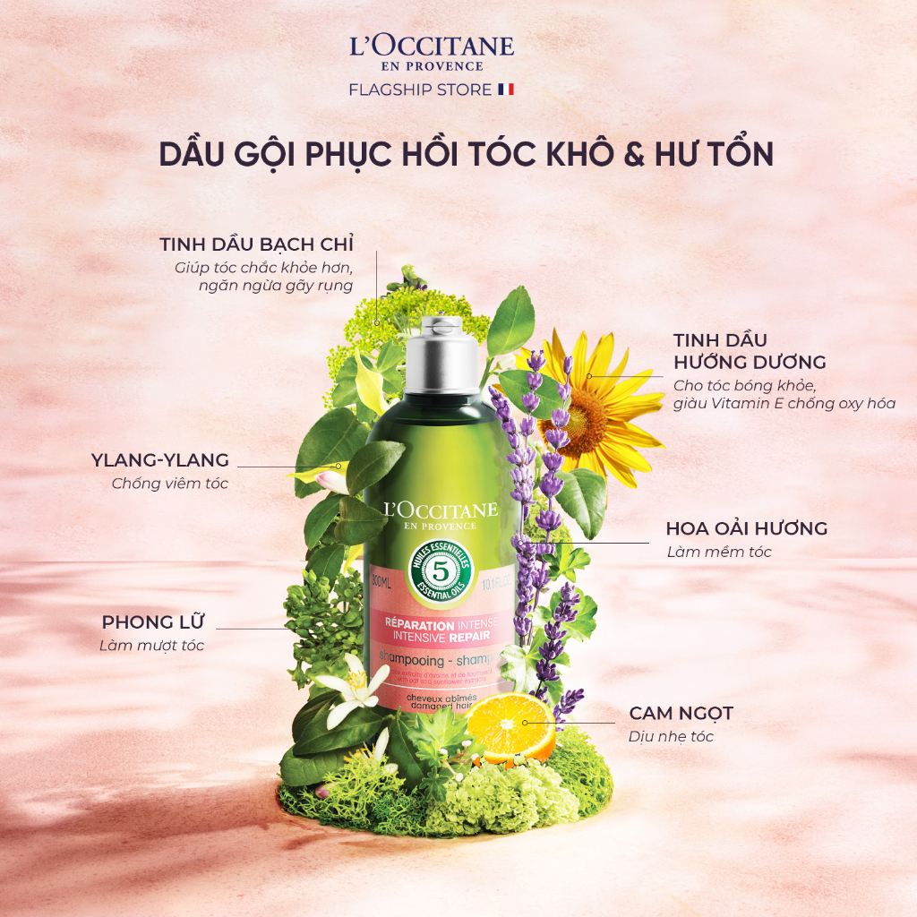 Dầu Gội - Dầu Xả Phục Hồi Chuyên Sâu Cho Tóc Khô & Hư Tổn L'Occitane  Aromachologie Intensive Repair 250ml 300ml