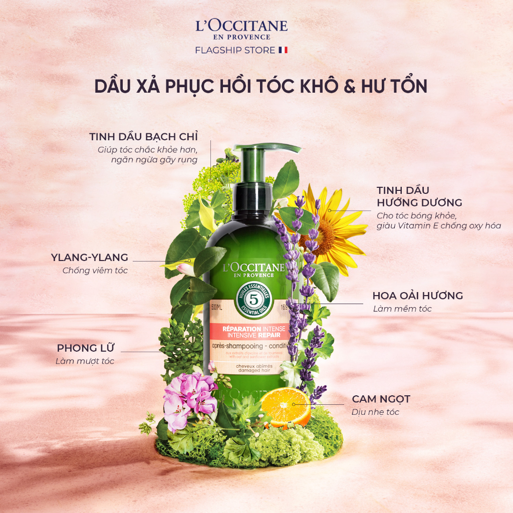 Dầu Gội - Dầu Xả Phục Hồi Chuyên Sâu Cho Tóc Khô & Hư Tổn L'Occitane Aromachologie Intensive Repair 500ml