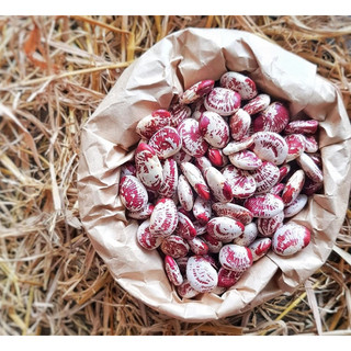 Đậu ngự Huế canh tác tự nhiên không háo chất túi zip 500g