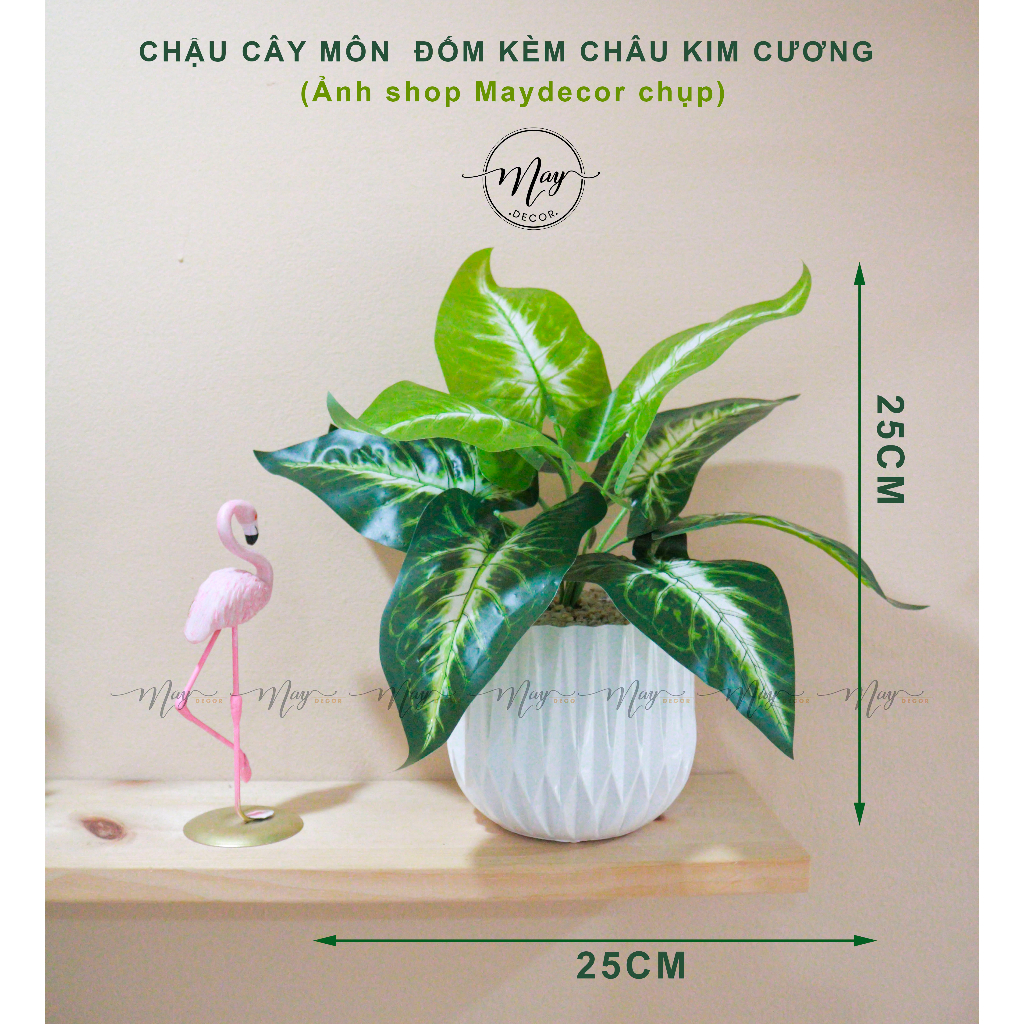 Cây giả, Chậu cây Môn,Bạch Mã kèm Chậu Nhựa Kim Cương