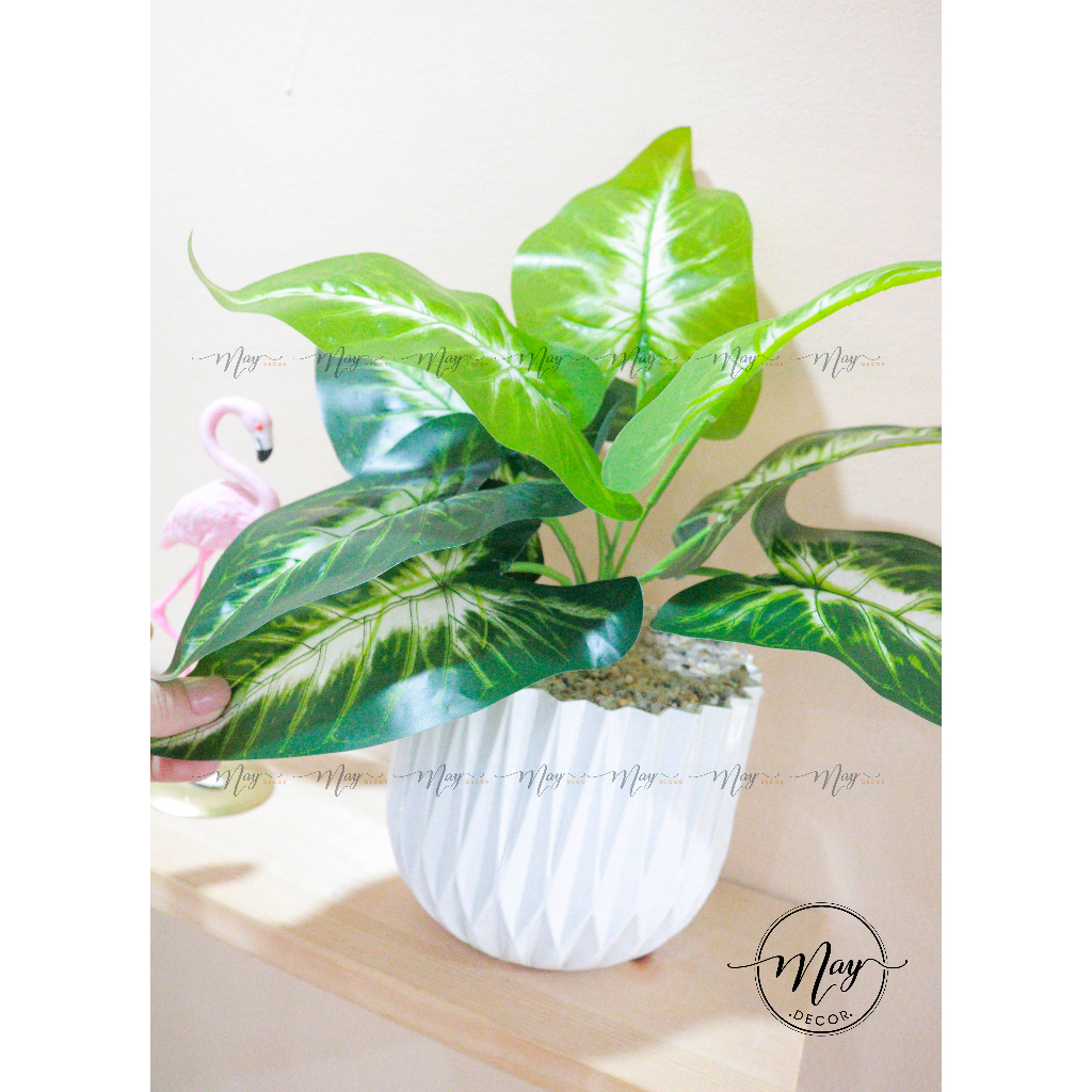 Cây giả, Chậu cây Môn,Bạch Mã kèm Chậu Nhựa Kim Cương