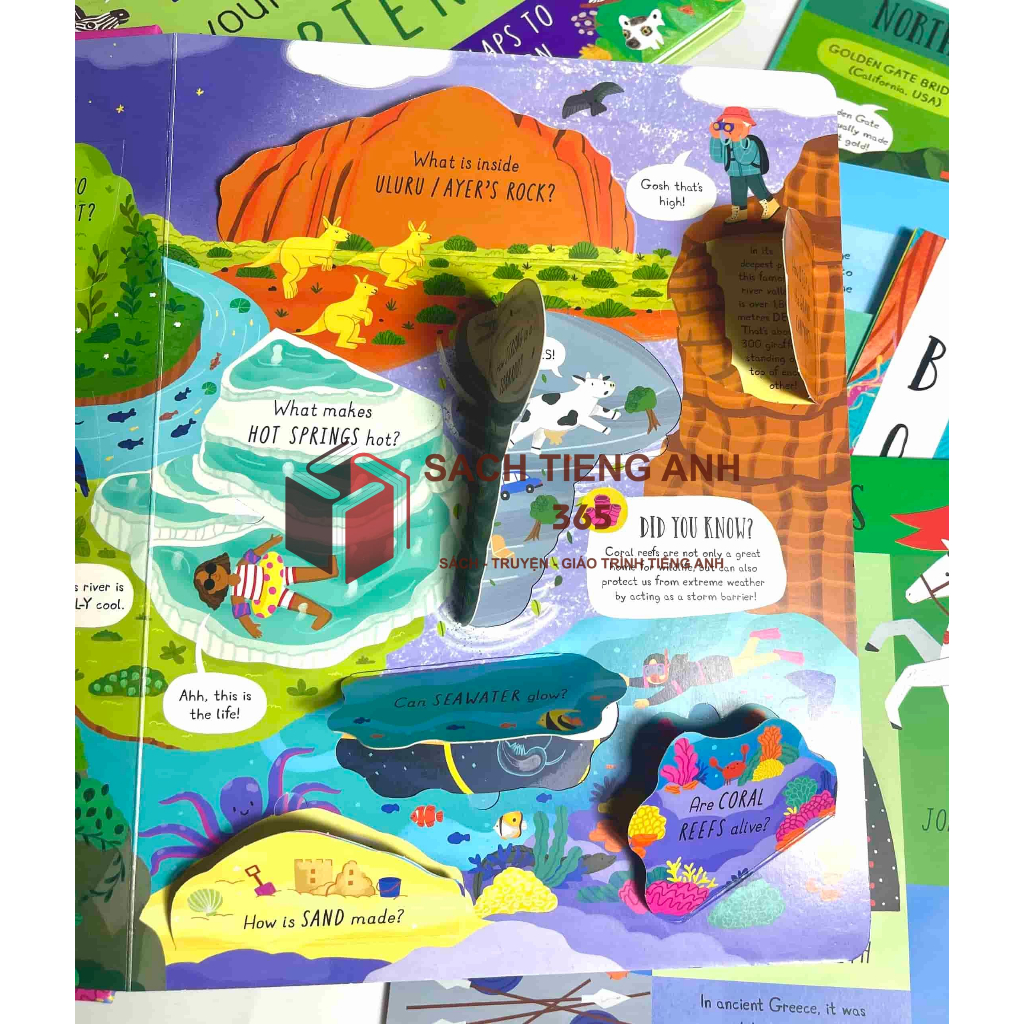 Questions and Answers Lift-the-Flap Board - 5q| Nhập Khẩu
