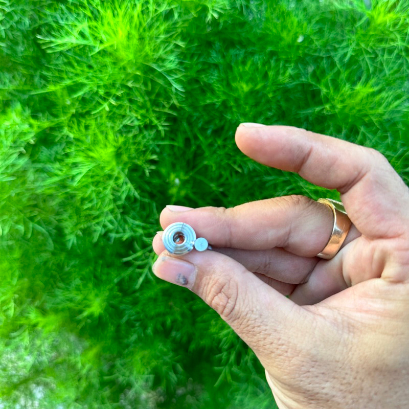 Chốt bấm nút bấm dàn áo salaya inox 304 cnc thái