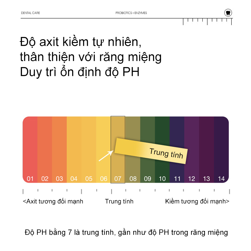 Kem đánh răng trăng răng kem đánh răng men vi sinh 250g xóa sạch cao tăng chống sâu răng thơm mát hơi thở