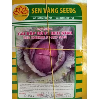 Hạt giống bắp cải tím