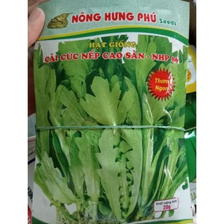Hạt giống cải cúc nếp