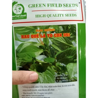 Hạt giống rau gia vị