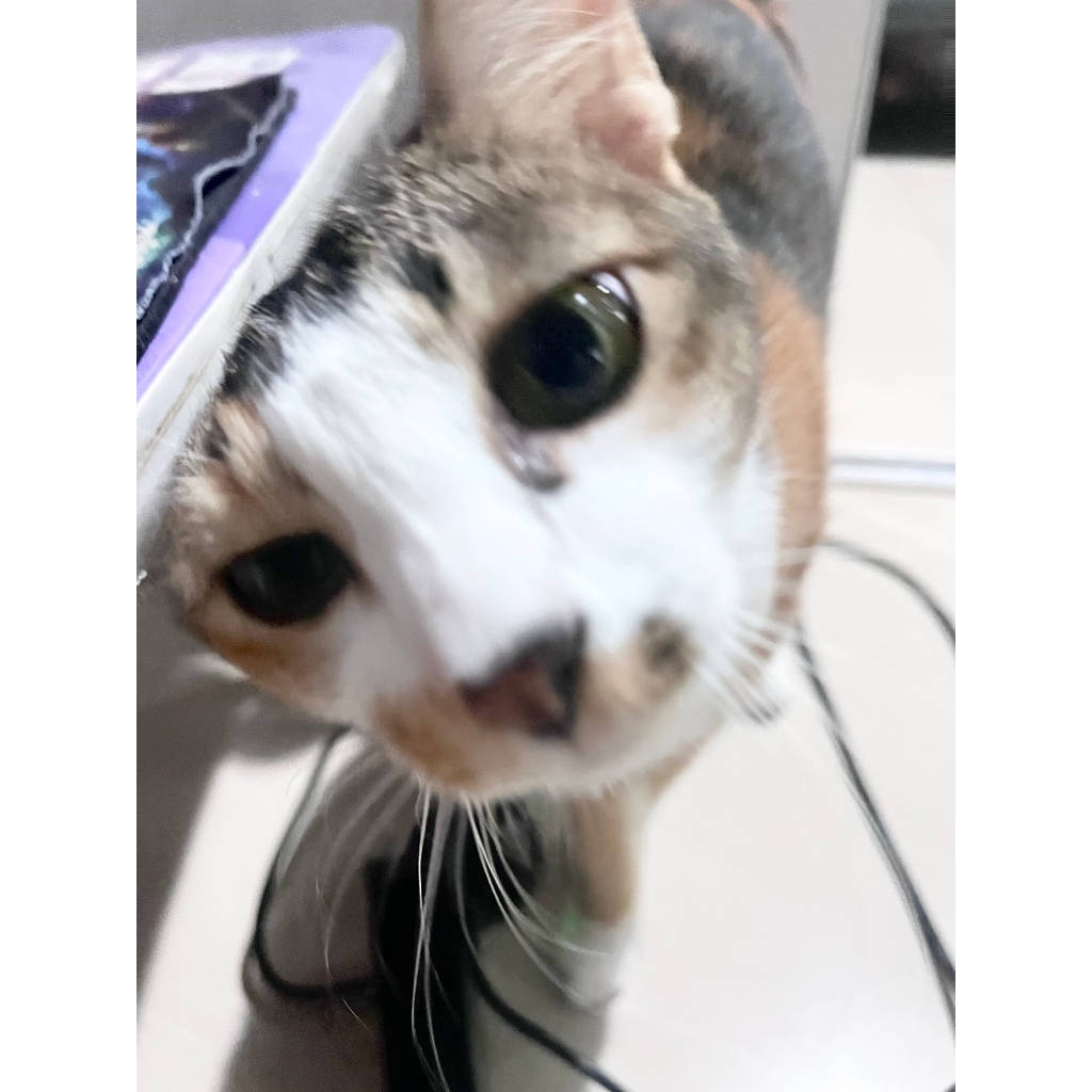 Kem Dưỡng Trắng Giảm Thâm Nách Precious Skin Alpha Arbutin 3 Plus Organic Underarm Night Cream 50g