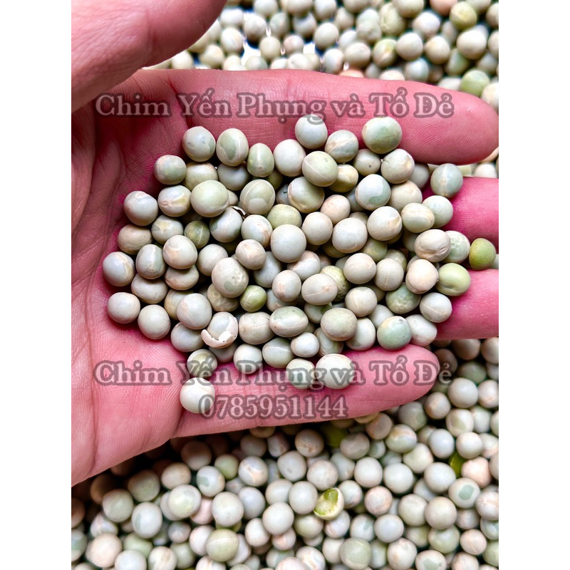 1kg Đậu Hà Lan Xanh Sống Hữu Cơ Không Biến Đổi Gen (peas).