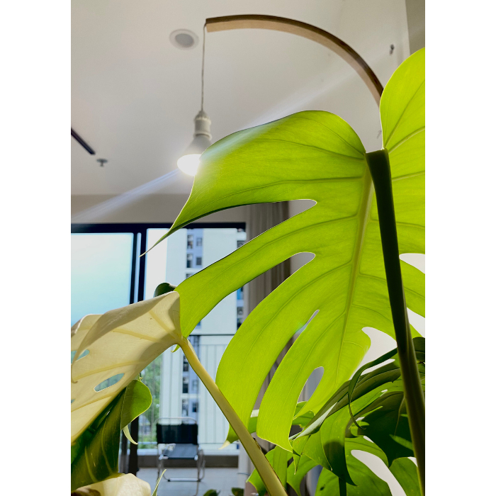 Đèn trồng cây Sansi 24w 36w