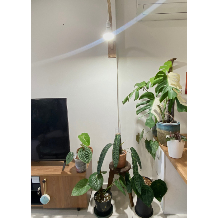 Đèn trồng cây Sansi 24w 36w