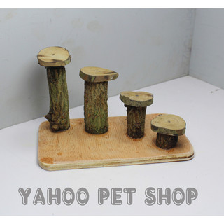Nấc thang gỗ có vỏ cây cho hamster các dòng