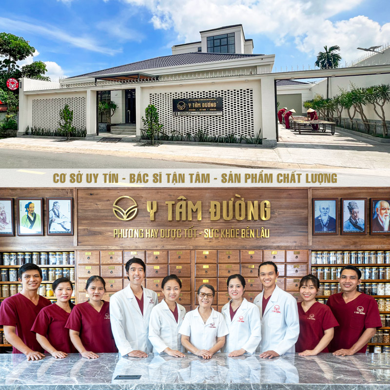 Nấm linh chi đỏ Nhật Bản thượng hạng - thái lát