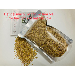 1kg Hạt mạch Úc (hạt giống cỏ lúa mỳ) & Hạt đại mạch
