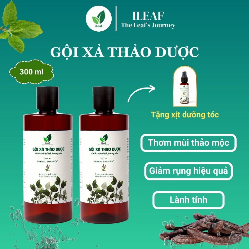 Gội xả thảo dược ILEAF 300ml chiết xuất bồ kết, hương nhu