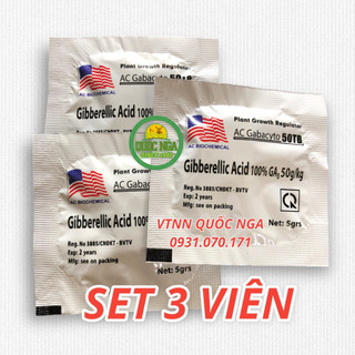 GA3 - KÍCH THÍCH SINH TRƯỞNG - GA3 50TB
