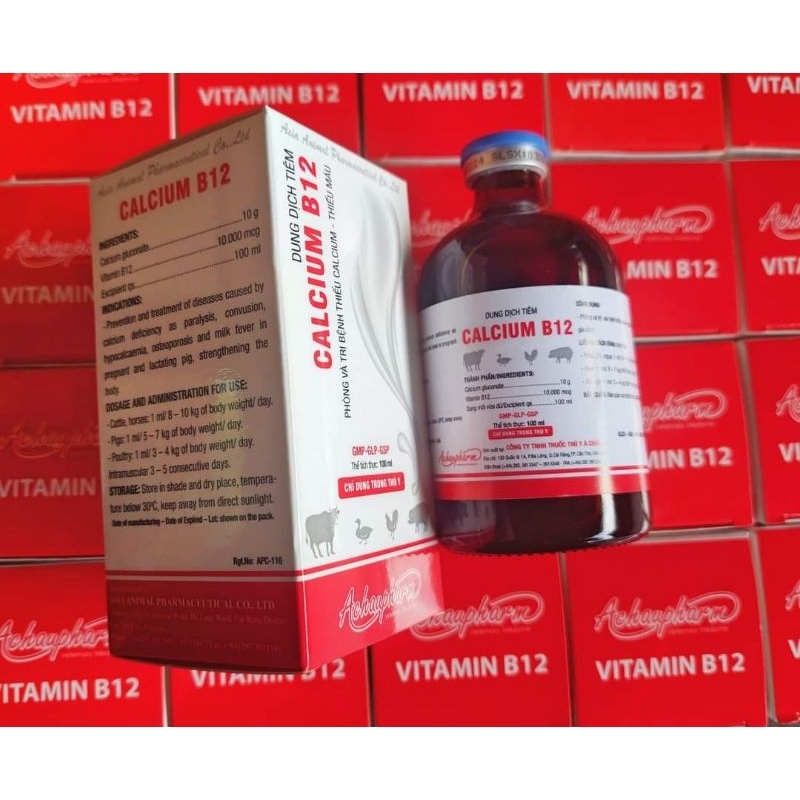 Bổ Sung Calcium & Vitamin B12 cho vật nuôi