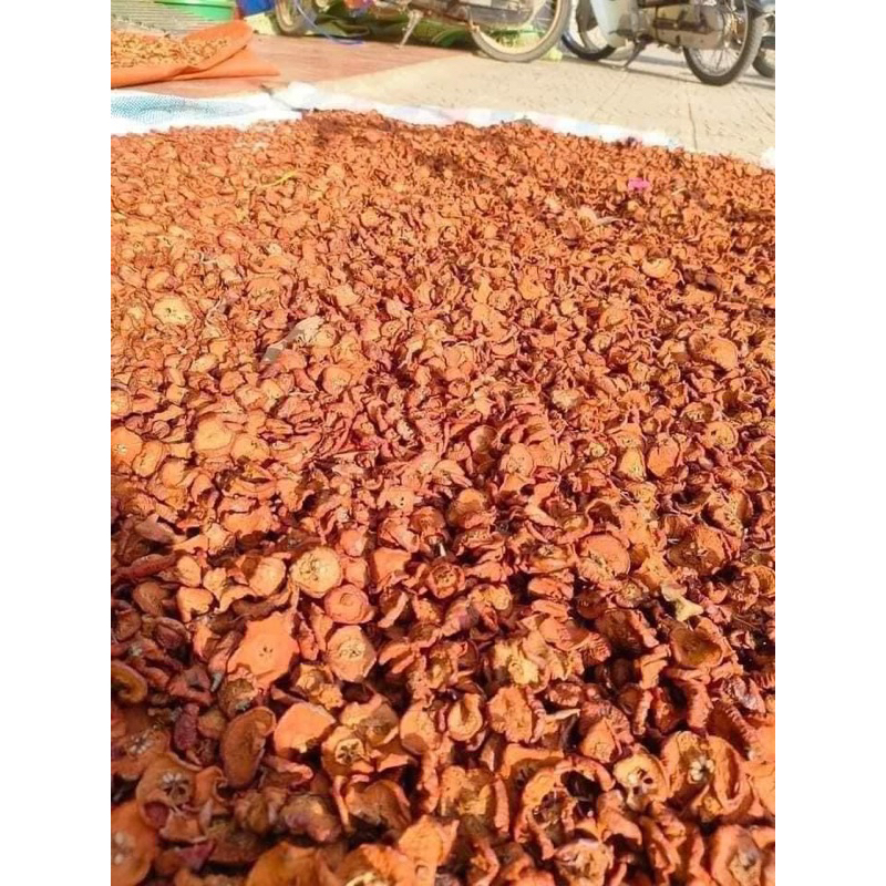 Táo Mèo Khô loại 1, quả to bản đẹp ko vụn nát