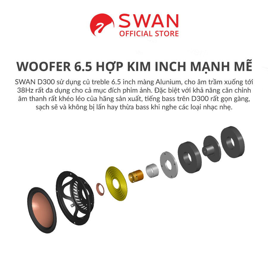 Loa HIVI SWAN D300 - BT 5.0 aptX HD - Bass 6.5 inch mạnh mẽ- Treble Ribbon - Hàng Chính hãng - BH 12T