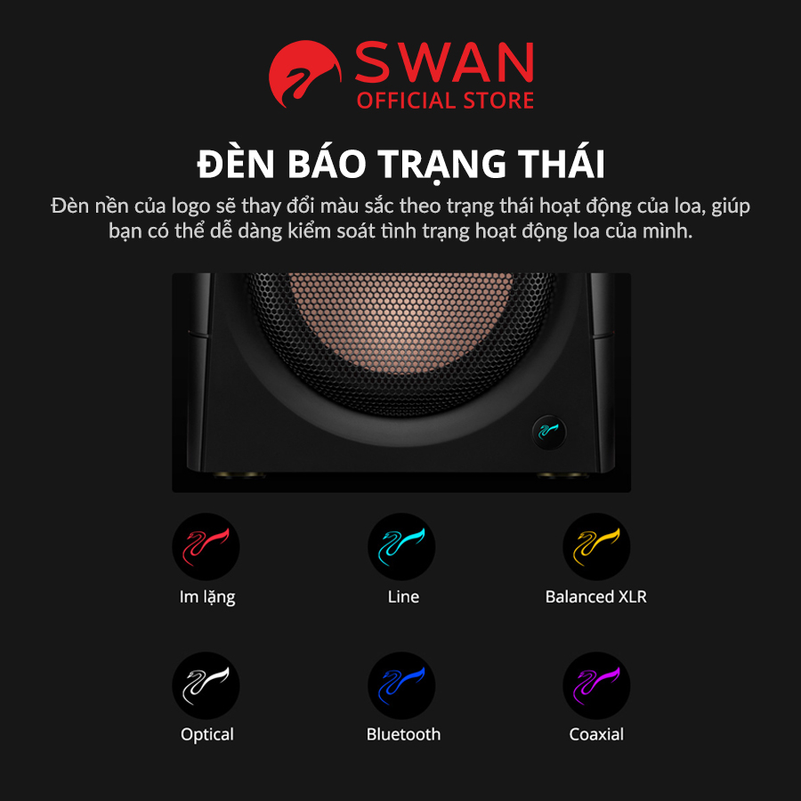 Loa HIVI SWAN D300 - BT 5.0 aptX HD - Bass 6.5 inch mạnh mẽ- Treble Ribbon - Hàng Chính hãng - BH 12T