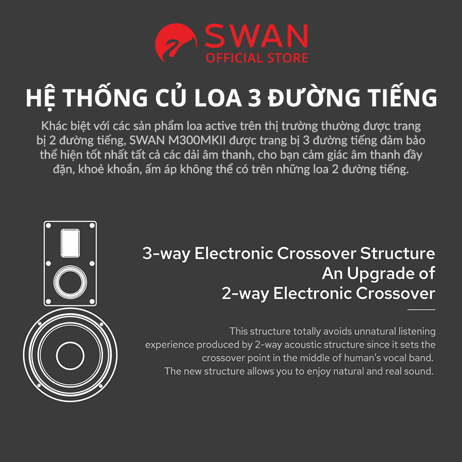 Loa SWAN M300MKII - 3 đường tiếng - BT 5.0 aptX HD - AirPlay - Spotify Connect - Hàng chính hãng - BH 12 tháng