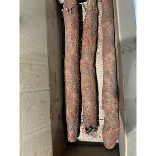 Củ Hoài Sơn Tươi 1kg