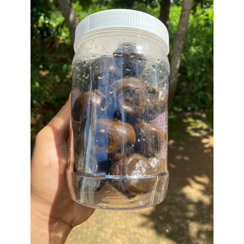 Chanh Muối Lâu Năm  500gr - Thực Dưỡng Cổ Truyền