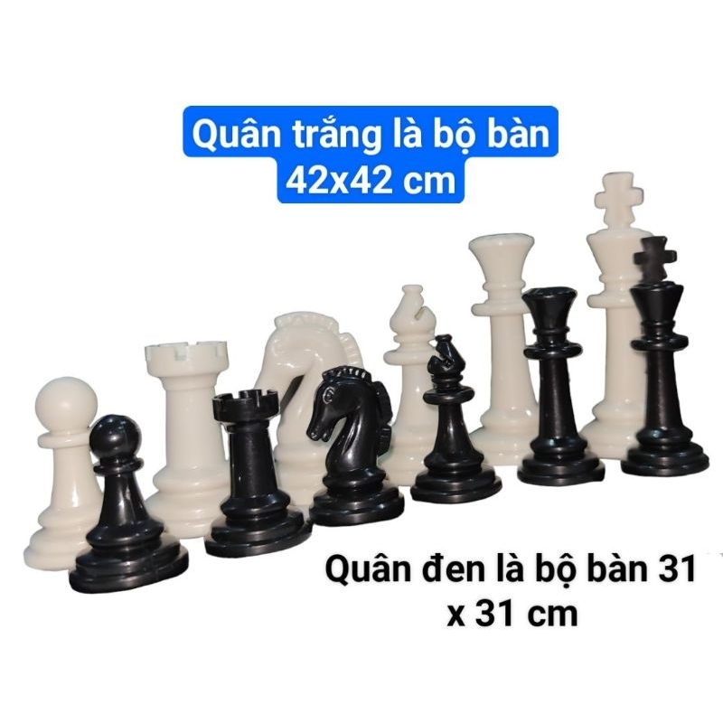 Cờ Vua Thi Đấu Quốc Tế  Vijago ( Tặng 2 hậu)