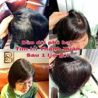 dầu gội phủ bạc thảo mộc saffron tây á
