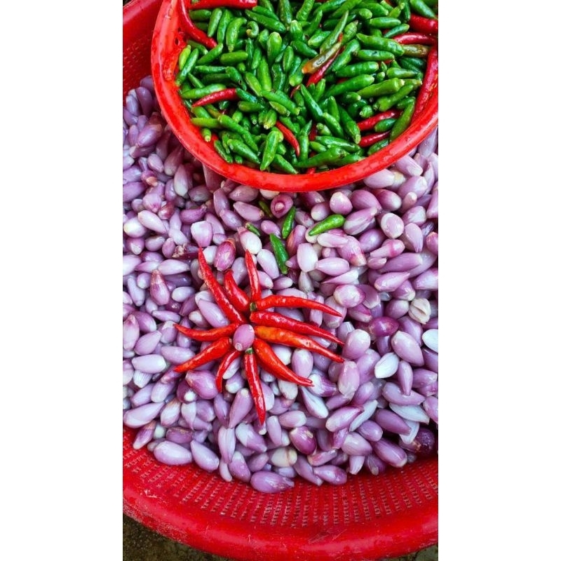 47k Hủ tầm 500gr Hành Tím Ly Sơn Ngâm Chua Ngọt