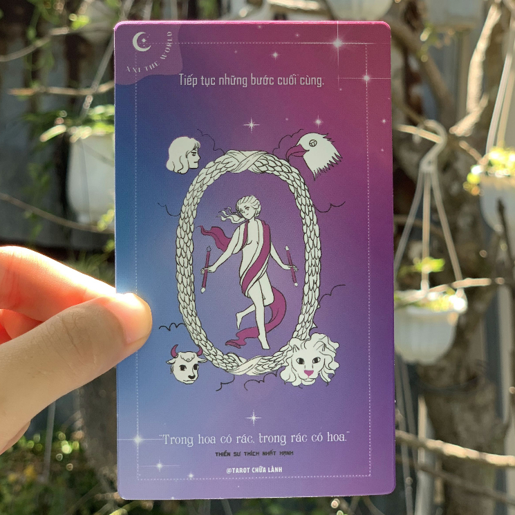 Combo Tarot Chữa Lành + Bộ Bài Tarot Tiếng Việt CHO NGƯỜI MỚI