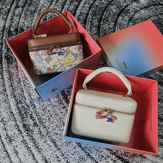 [FULLBOX] Túi cốp C thỏ có gương size 17