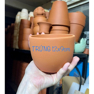 Chậu đất nung trứng 12x9cm - chậu đất nung 12cm - chậu trứng miệng 12cm