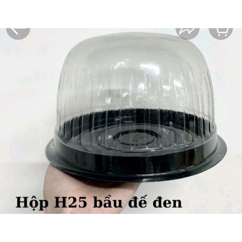 Hộp H25 bầu