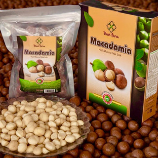 500g hạt macca đắk lắk nứt vỏ size siêu đại - organic sạch - loại đặt biệt