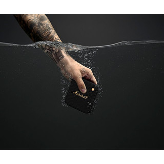 (Hàng chính hãng ASH) Loa Bluetooth Marshall Willen, Bảo Hành 12 Tháng