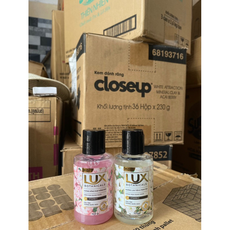 Combo 2 chai sữa tắm 100g hương hoa hồng và lan tiên & tràm trà