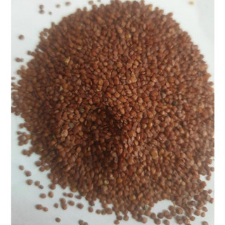 [1kg] Ngũ hoa hạt hạt to đắp mặt